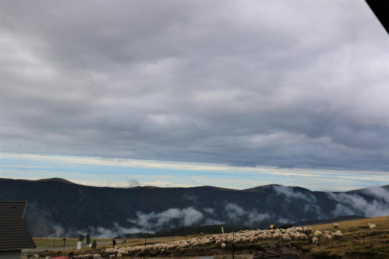 Cabana Transalpina Rânca Exterior foto