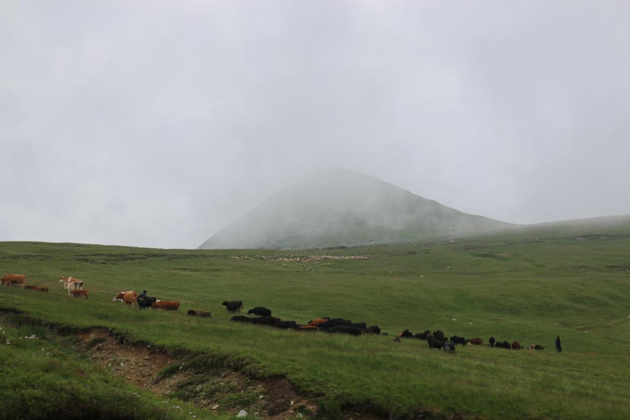 Cabana Transalpina Rânca Exterior foto