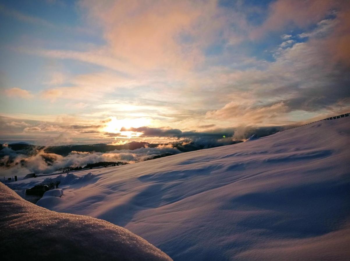 Cabana Transalpina Rânca Exterior foto